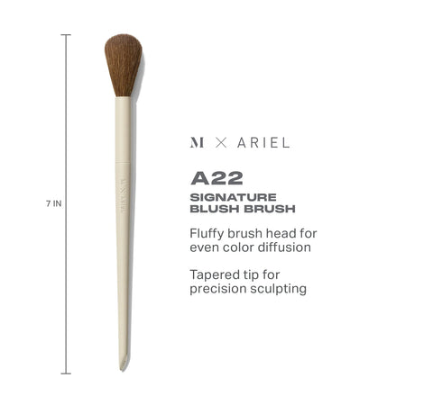 Ariel’s Cheek Essentials